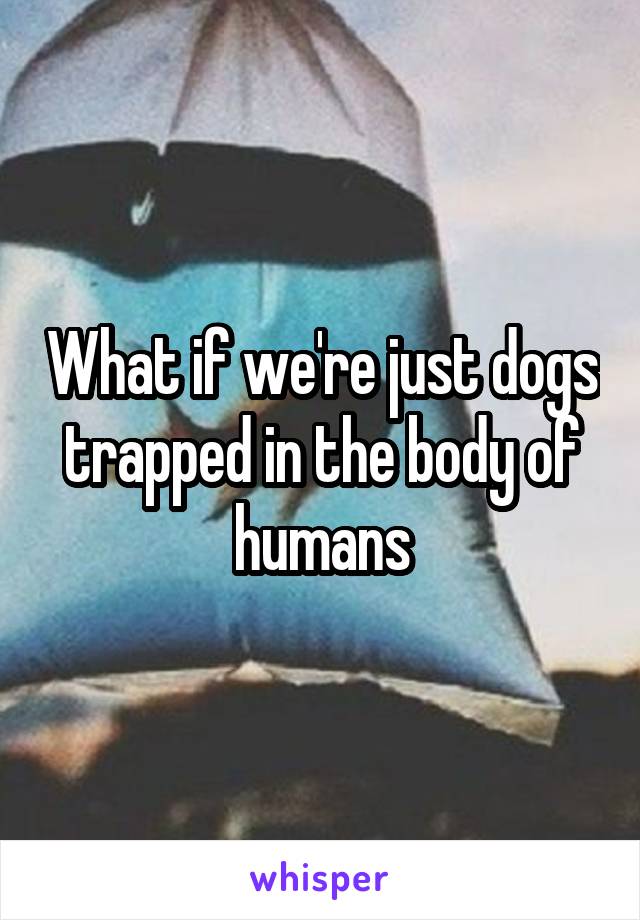 What if we're just dogs trapped in the body of humans