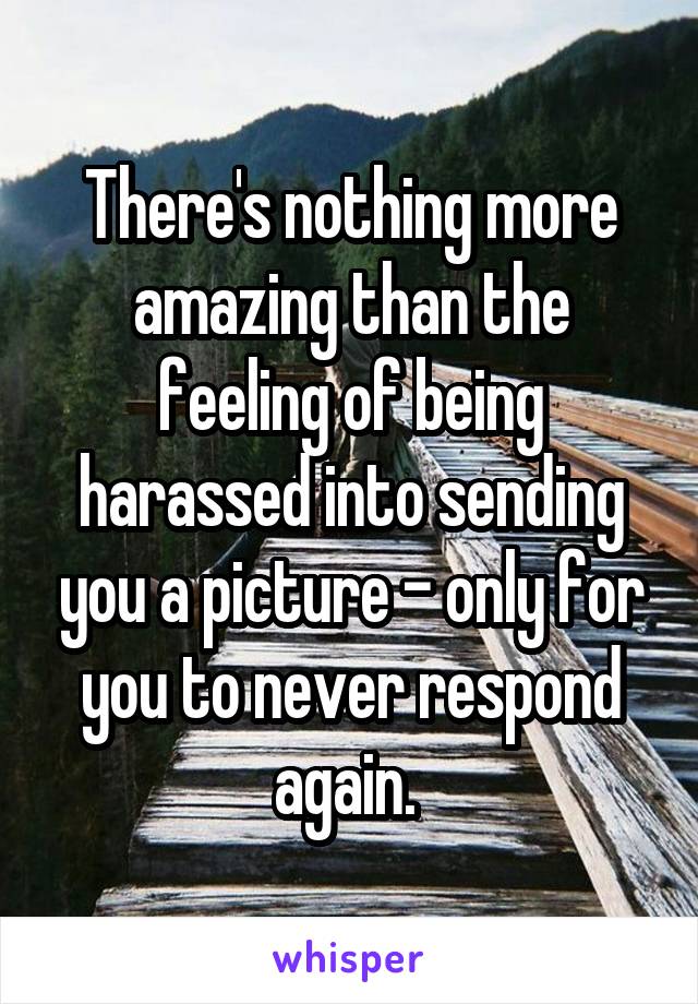 There's nothing more amazing than the feeling of being harassed into sending you a picture - only for you to never respond again. 