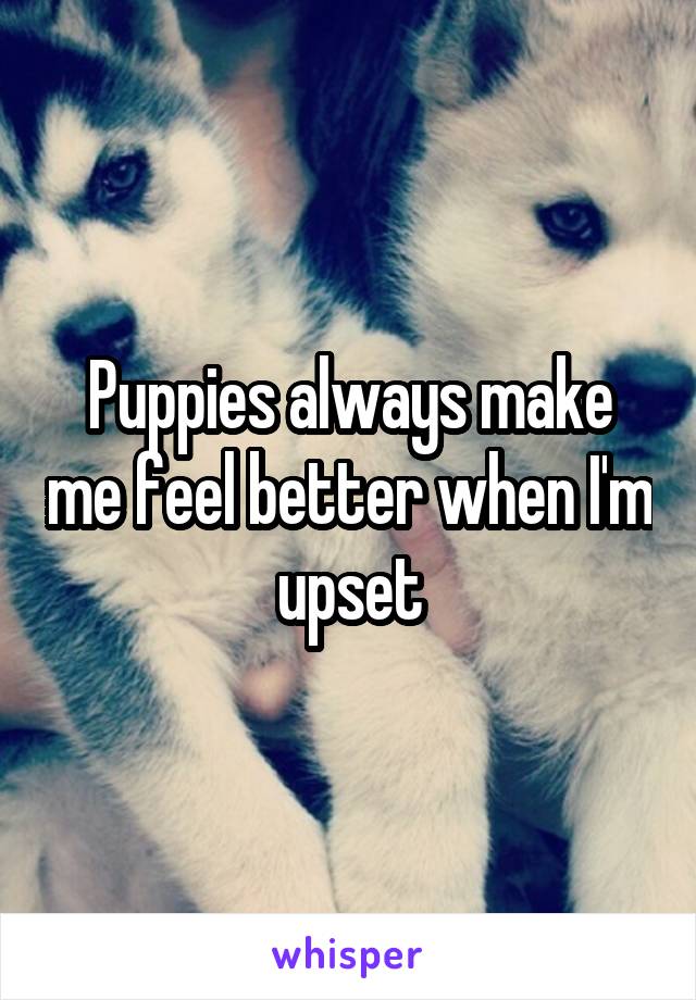 Puppies always make me feel better when I'm upset