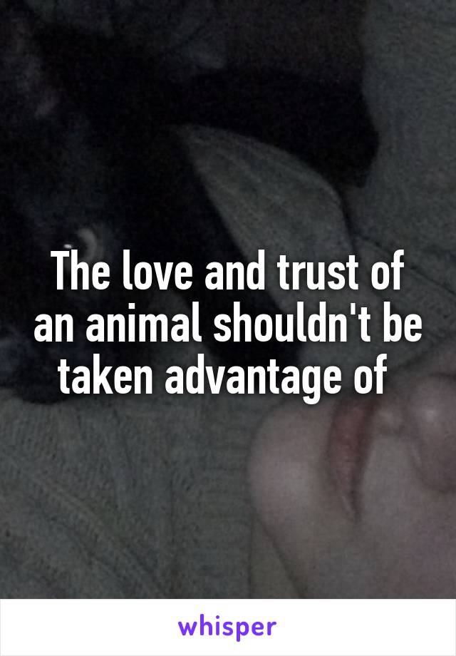 The love and trust of an animal shouldn't be taken advantage of 