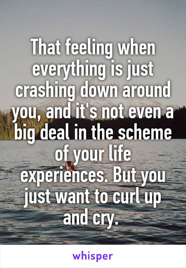 That feeling when everything is just crashing down around you, and it's not even a big deal in the scheme of your life experiences. But you just want to curl up and cry. 