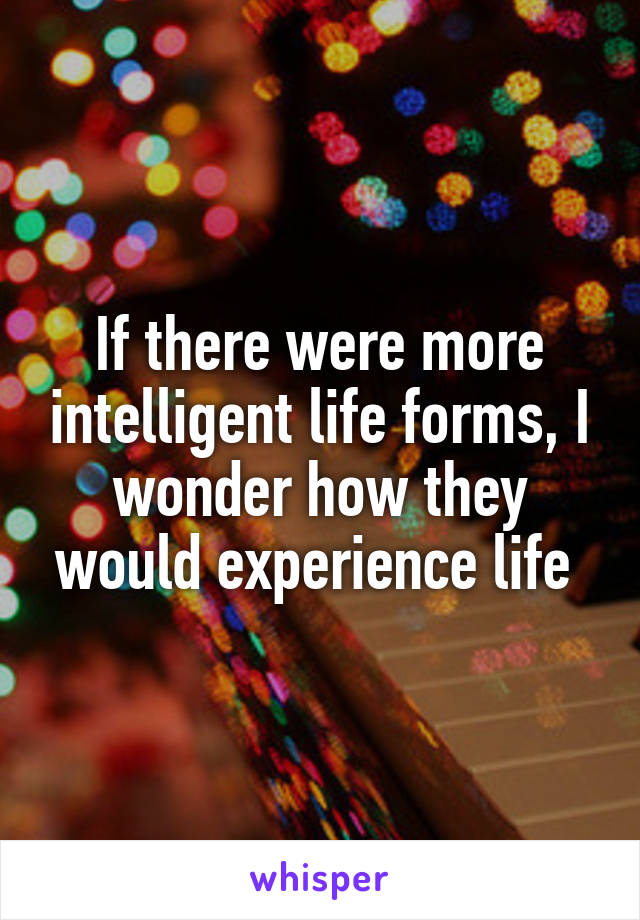 If there were more intelligent life forms, I wonder how they would experience life 