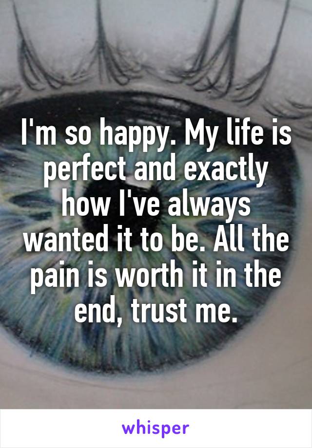 I'm so happy. My life is perfect and exactly how I've always wanted it to be. All the pain is worth it in the end, trust me.