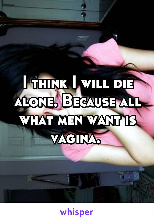 I think I will die alone. Because all what men want is vagina. 