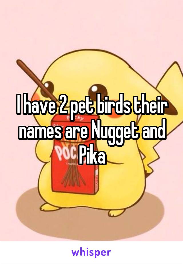 I have 2 pet birds their names are Nugget and Pika