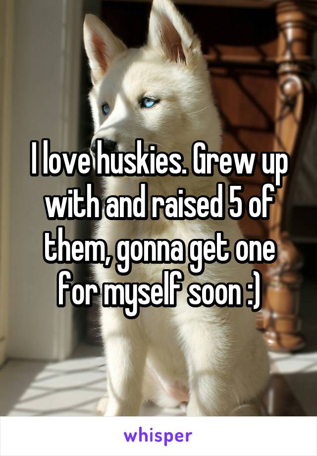 I love huskies. Grew up with and raised 5 of them, gonna get one for myself soon :)