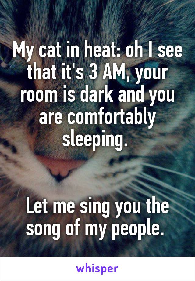 My cat in heat: oh I see that it's 3 AM, your room is dark and you are comfortably sleeping. 


Let me sing you the song of my people. 