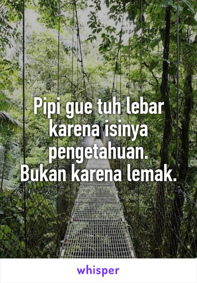 Pipi gue tuh lebar karena isinya pengetahuan.
Bukan karena lemak.