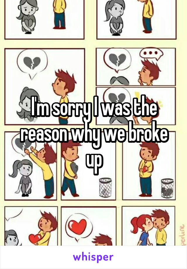 I'm sorry I was the reason why we broke up