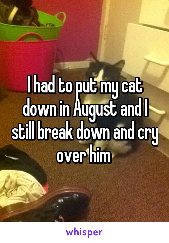 I had to put my cat down in August and I still break down and cry over him 