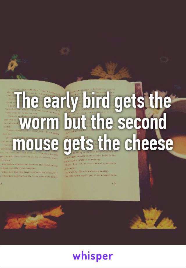 The early bird gets the worm but the second mouse gets the cheese 