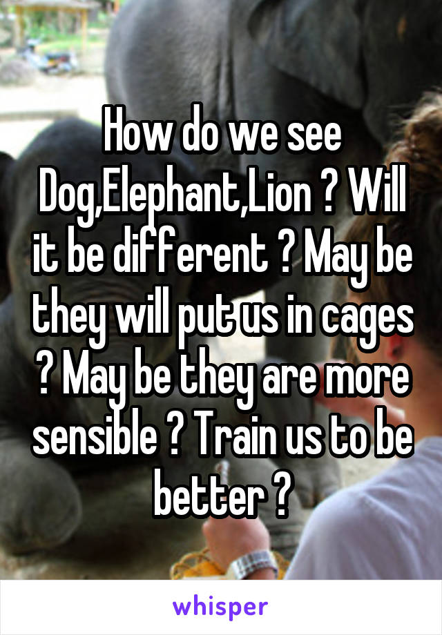 How do we see Dog,Elephant,Lion ? Will it be different ? May be they will put us in cages ? May be they are more sensible ? Train us to be better ?