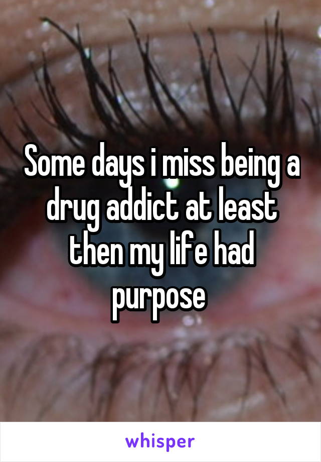 Some days i miss being a drug addict at least then my life had purpose 