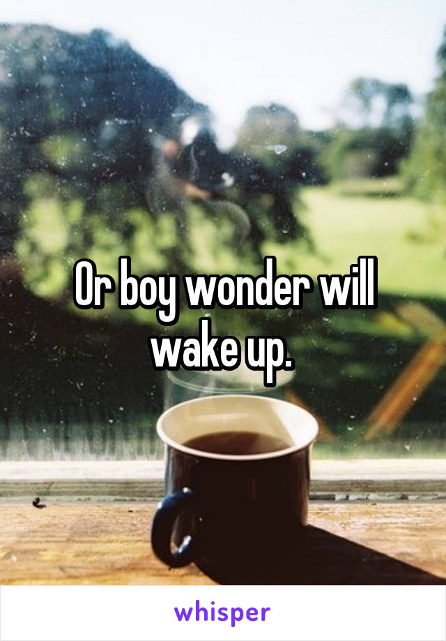 Or boy wonder will wake up. 