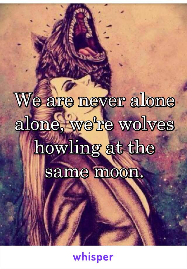 We are never alone alone, we're wolves howling at the same moon.