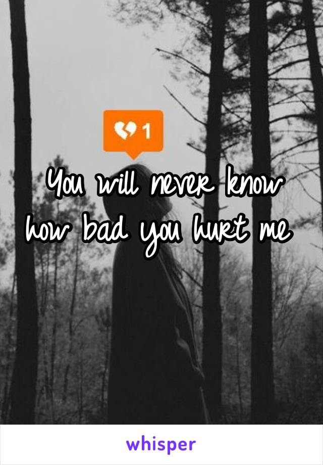 You will never know how bad you hurt me 
