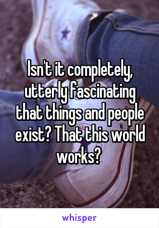 Isn't it completely, utterly fascinating that things and people exist? That this world works? 