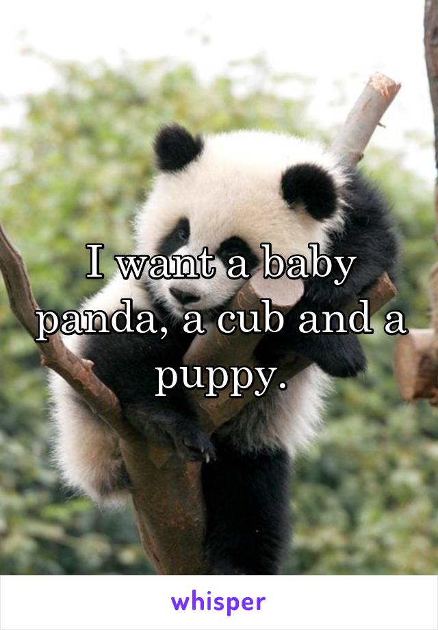 I want a baby panda, a cub and a puppy.