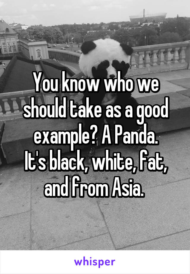 You know who we should take as a good example? A Panda.
It's black, white, fat, and from Asia. 