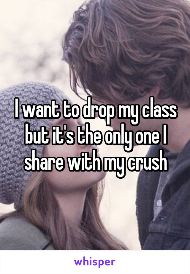 I want to drop my class but it's the only one I share with my crush