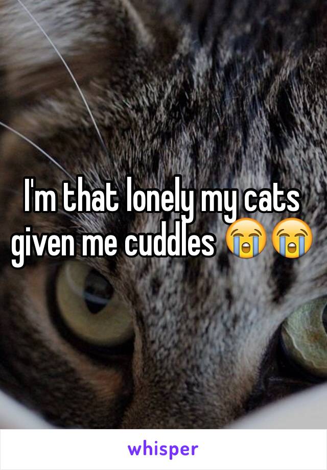 I'm that lonely my cats given me cuddles 😭😭