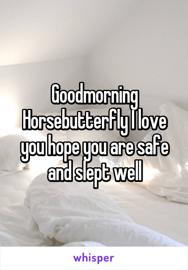 Goodmorning Horsebutterfly I love you hope you are safe and slept well