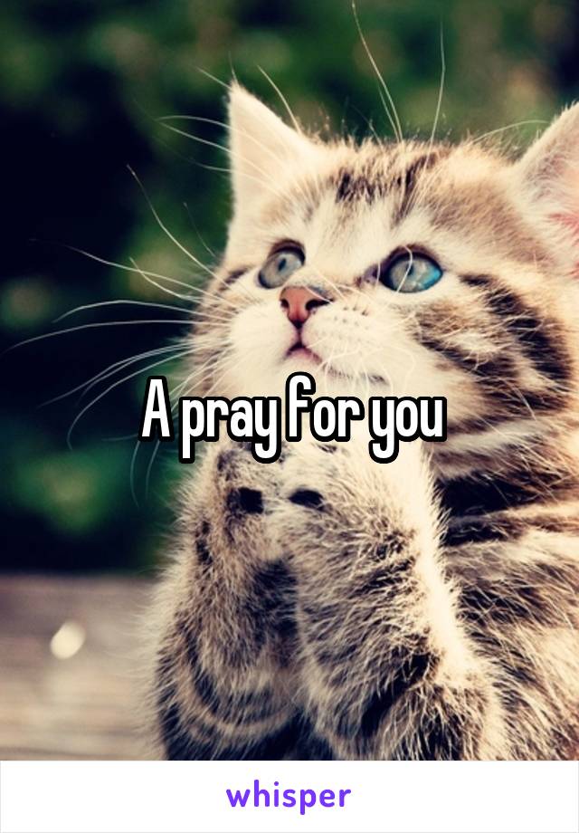  A pray for you 