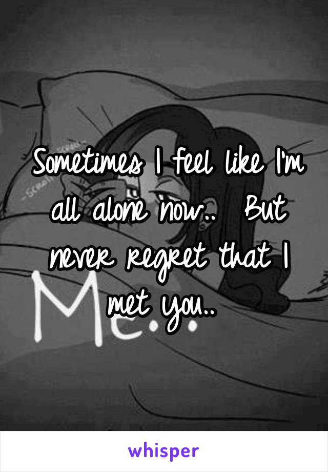 Sometimes I feel like I'm all alone now..  But never regret that I met you.. 