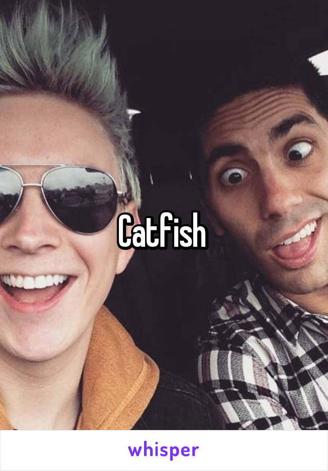 Catfish 