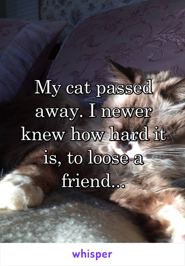 My cat passed away. I newer knew how hard it is, to loose a friend...