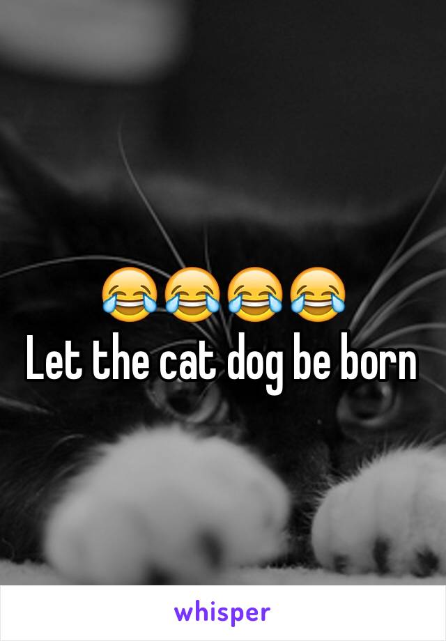 😂😂😂😂
Let the cat dog be born 