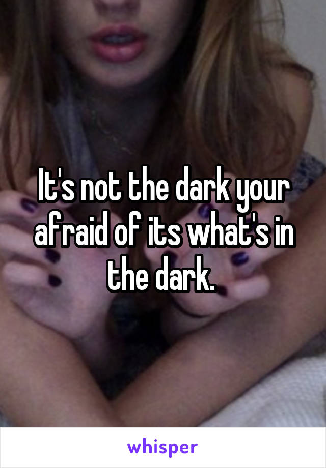 It's not the dark your afraid of its what's in the dark. 