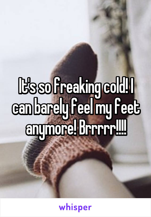 It's so freaking cold! I can barely feel my feet anymore! Brrrrr!!!!