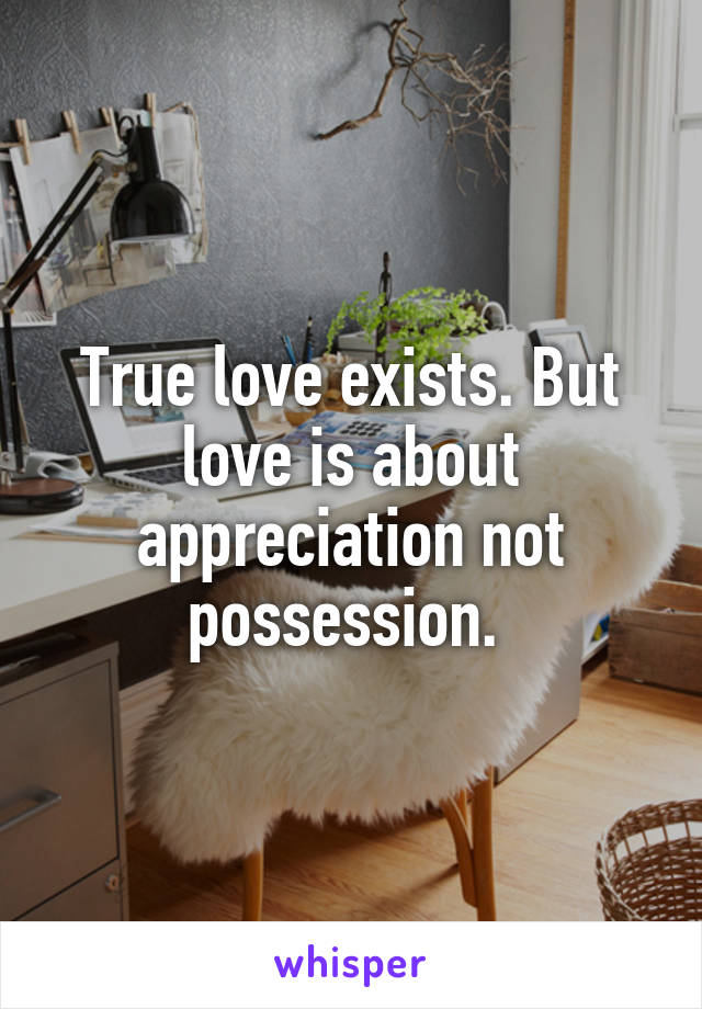 True love exists. But love is about appreciation not possession. 