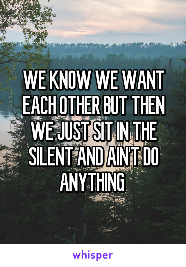 WE KNOW WE WANT EACH OTHER BUT THEN WE JUST SIT IN THE SILENT AND AIN'T DO ANYTHING 