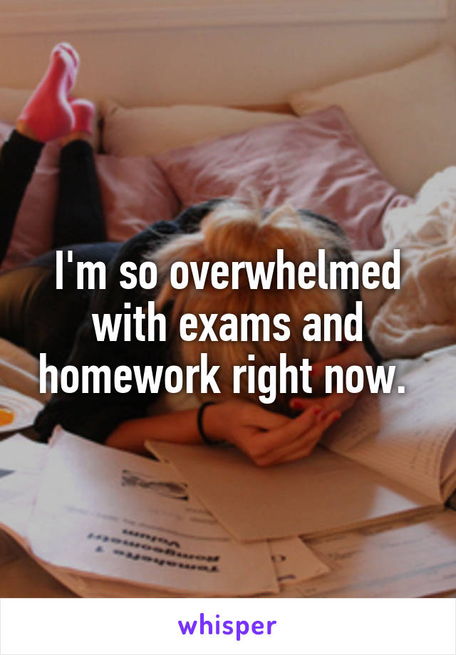 I'm so overwhelmed with exams and homework right now. 