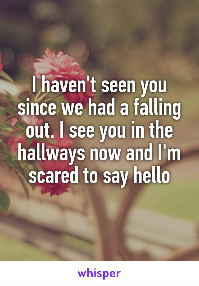 I haven't seen you since we had a falling out. I see you in the hallways now and I'm scared to say hello
