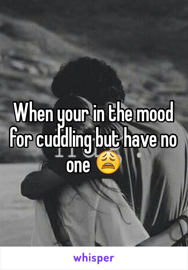 When your in the mood for cuddling but have no one 😩