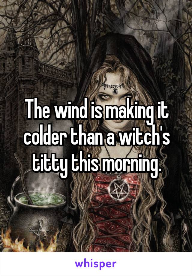 The wind is making it colder than a witch's titty this morning.