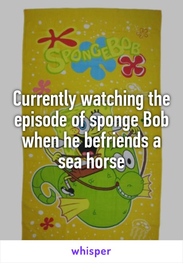 Currently watching the episode of sponge Bob when he befriends a sea horse