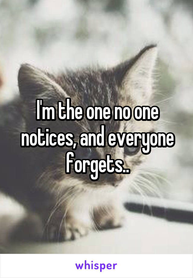 I'm the one no one notices, and everyone forgets..