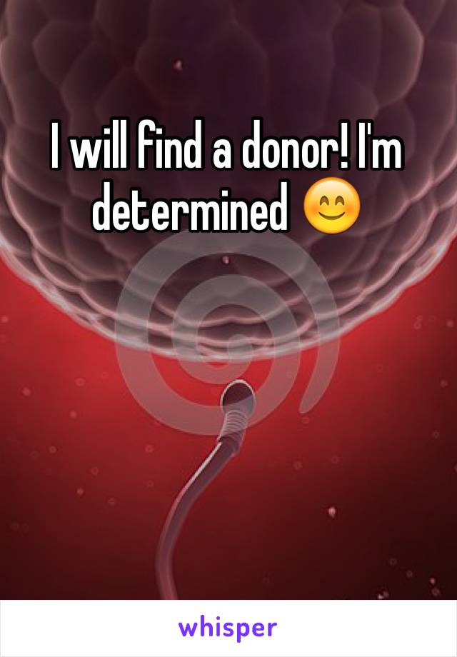 I will find a donor! I'm determined 😊