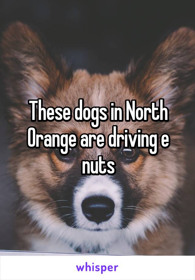 These dogs in North Orange are driving e nuts