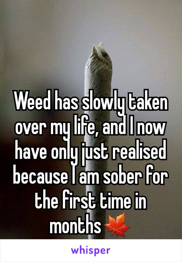 Weed has slowly taken over my life, and I now have only just realised because I am sober for the first time in months🍁