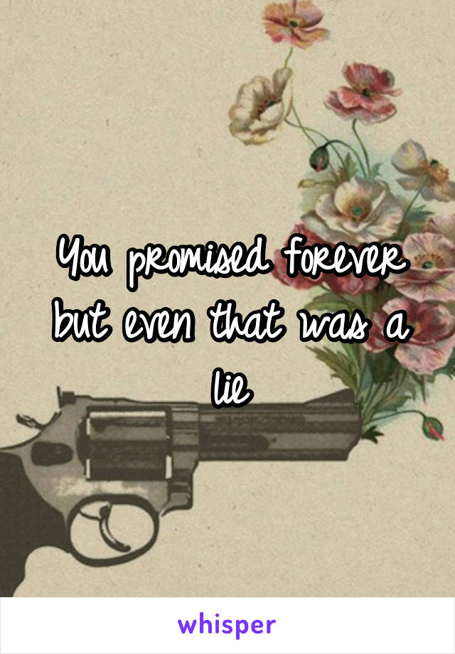 You promised forever but even that was a lie