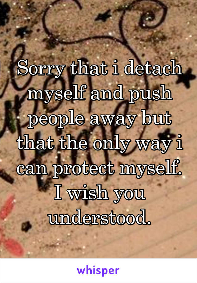 Sorry that i detach myself and push people away but that the only way i can protect myself. I wish you understood.