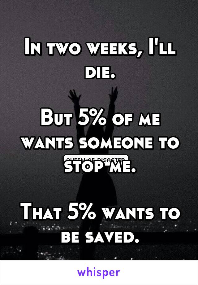 In two weeks, I'll die.

But 5% of me wants someone to stop me.

That 5% wants to be saved.