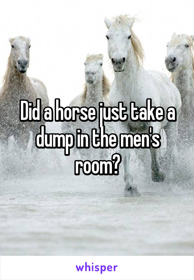 Did a horse just take a dump in the men's room?