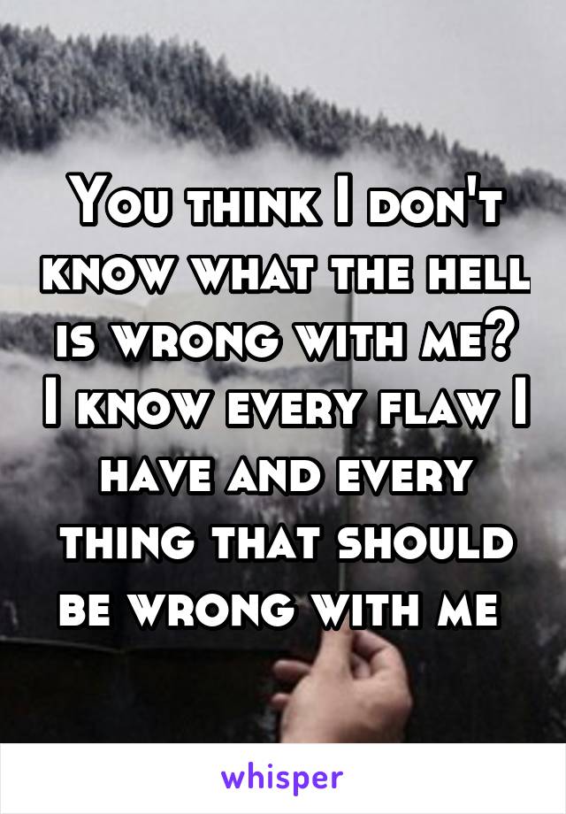 You think I don't know what the hell is wrong with me? I know every flaw I have and every thing that should be wrong with me 