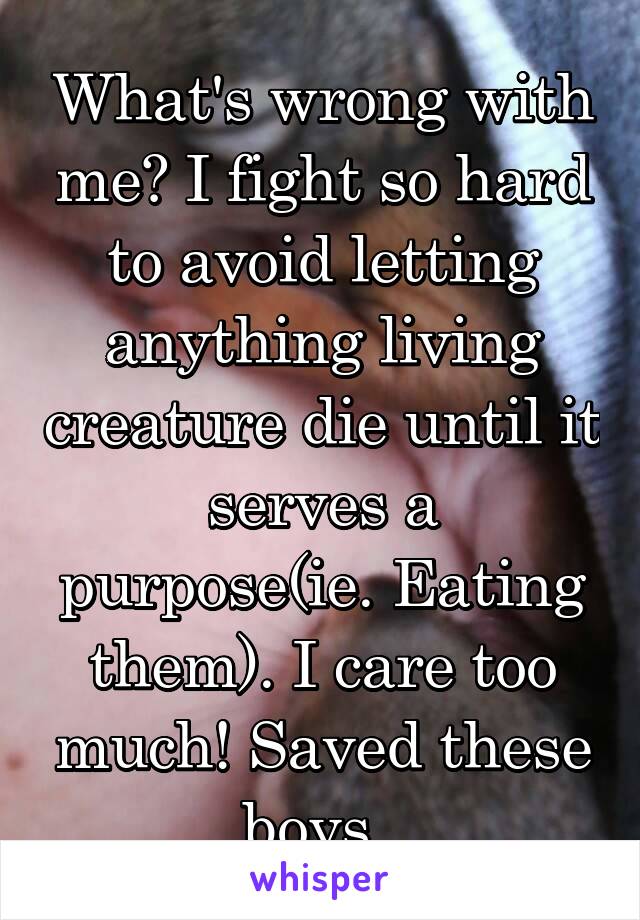 What's wrong with me? I fight so hard to avoid letting anything living creature die until it serves a purpose(ie. Eating them). I care too much! Saved these boys. 